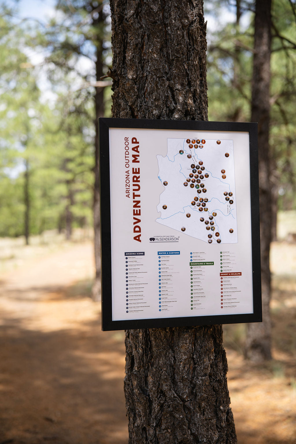 Arizona Outdoor Adventure Scratch- Off Map