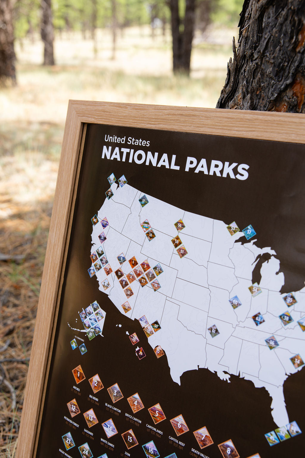 US National Parks Scratch-Off Map