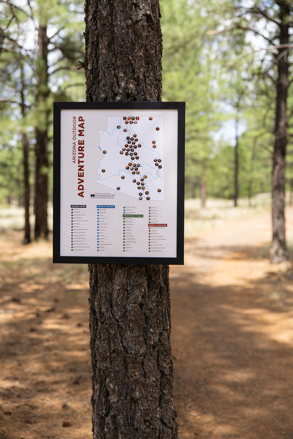 Arizona Outdoor Adventure Scratch- Off Map